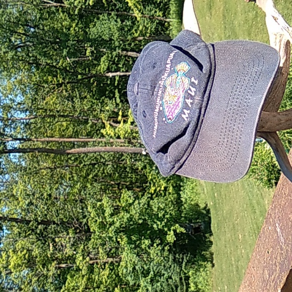 🌋  Vtg Hawaii Humuhumunukunukuapua'a Snapback Blackish/Bluish Cap Hat EVC - Picture 3 of 16